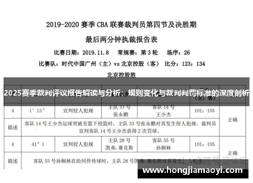 2025赛季裁判评议报告解读与分析：规则变化与裁判判罚标准的深度剖析