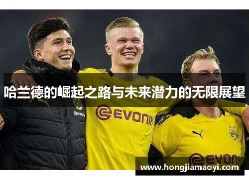 哈兰德的崛起之路与未来潜力的无限展望