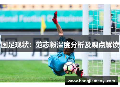 国足现状：范志毅深度分析及观点解读