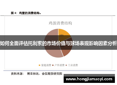 如何全面评估托利索的市场价值与球场表现影响因素分析