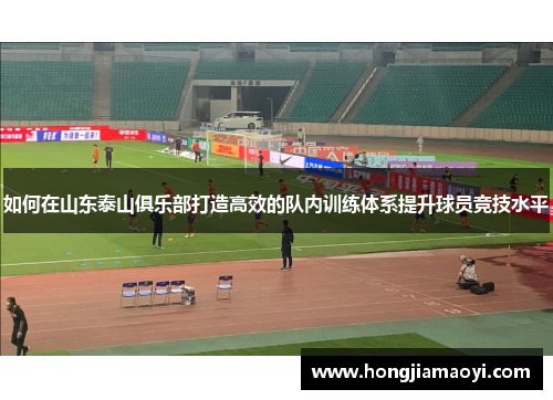 如何在山东泰山俱乐部打造高效的队内训练体系提升球员竞技水平