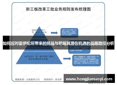 如何应对霍伊伦所带来的挑战与把握其潜在机遇的战略路径分析